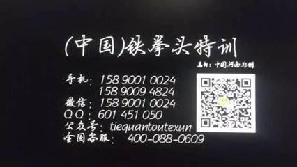 铁拳头特训 赋能企业团队，锻造卓越执行力